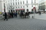 PICTURES/Vienna -  Walking Around Town/t_Horse Carriages5.JPG